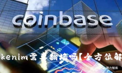 Tokenim需要翻墙吗?全方位解析