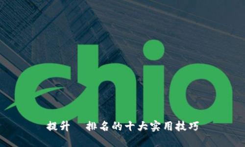 提升 排名的十大实用技巧