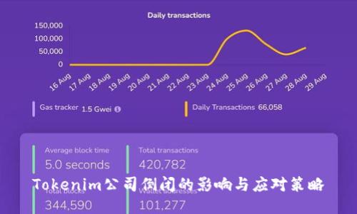 Tokenim公司倒闭的影响与应对策略