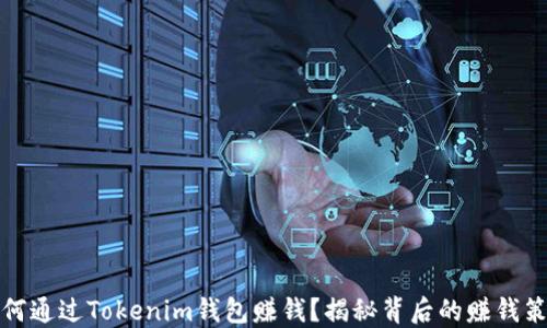 
如何通过Tokenim钱包赚钱？揭秘背后的赚钱策略