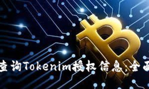如何查询Tokenim授权信息:全面指南