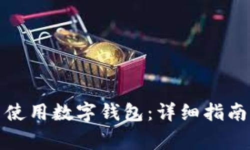 如何高效下载并使用数字钱包:详细指南与常见问题解答