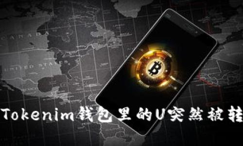 如何应对Tokenim钱包里的U突然被转走的情况