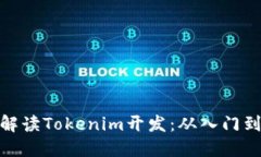 全面解读Tokenim开发：从入