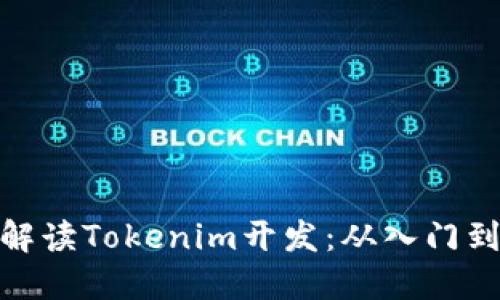 全面解读Tokenim开发：从入门到精通