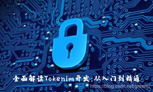 全面解读Tokenim开发：从入门到精通
