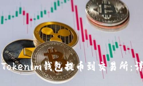 如何从Tokenim钱包提币到交易所:详细指南