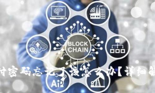 Tokenim支付密码忘记了该怎么办?详细解决方案解析