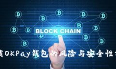 下载OKPay钱包的风险与安全