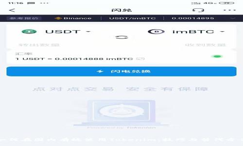 如何在国内有效使用Tokenim:技巧与替代方案