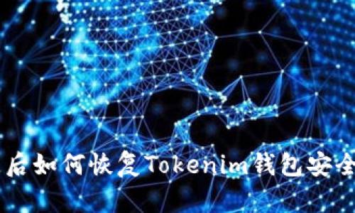 手机丢失后如何恢复Tokenim钱包安全性与资产