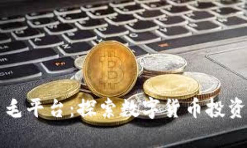 币圈薅羊毛平台：探索数字货币投资的新机遇