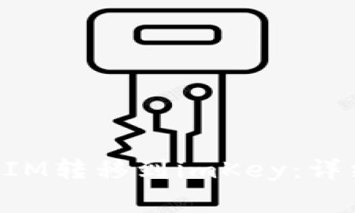 如何将币从TokenIM转移到imKey:详细步骤与注意事项