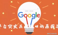 Tokenim平台突发关闭端口的