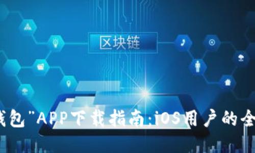 “钱能钱包”APP下载指南:iOS用户的全面攻略