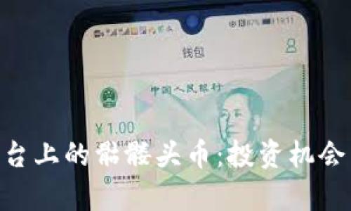 Tokenim平台上的骷髅头币:投资机会与风险解析