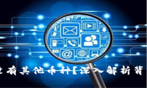 Tokenim:为何没有其他币种?深入解析背后的原因与影响