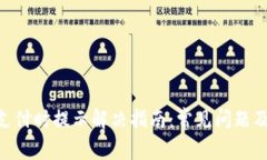 Tokenim支付时提示解决指南