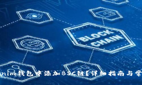 如何在Tokenim钱包中添加BSC链?详细指南与常见问题解答