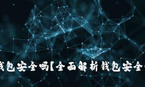 区块链12个钱包安全吗?全面解析钱包安全性及保护措施