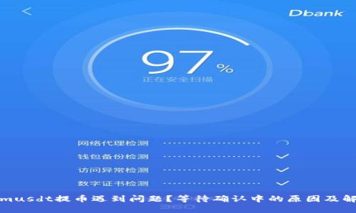 Tokenimusdt提币遇到问题?等待确认中的原因及解决方案