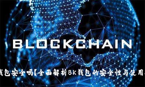 BK钱包安全吗?全面解析BK钱包的安全性与使用技巧