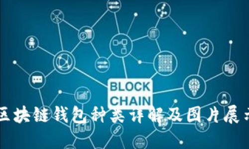 区块链钱包种类详解及图片展示