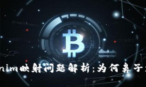 Tokenim映射问题解析:为何鼻子少了?