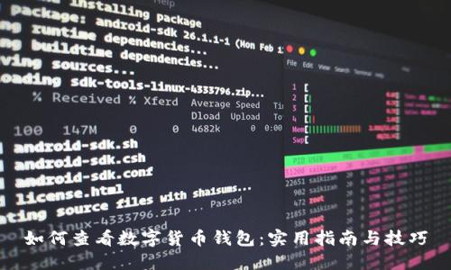 如何查看数字货币钱包:实用指南与技巧