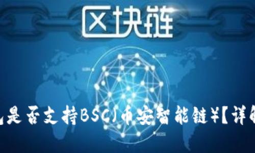 Tokenim钱包是否支持BSC（币安智能链）？详解及使用指南