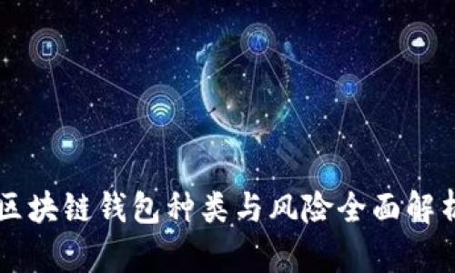 区块链钱包种类与风险全面解析