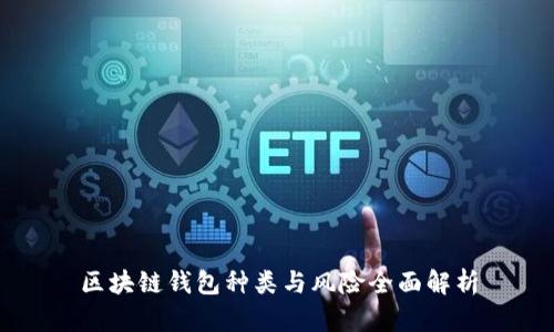 区块链钱包种类与风险全面解析