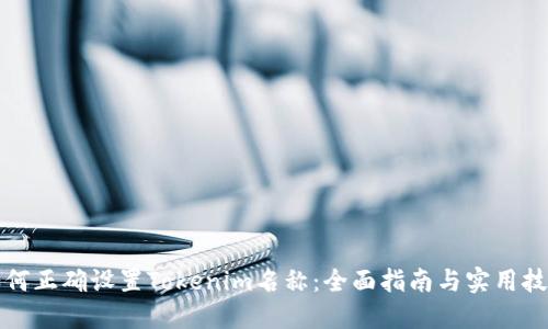 如何正确设置Tokenim名称：全面指南与实用技巧