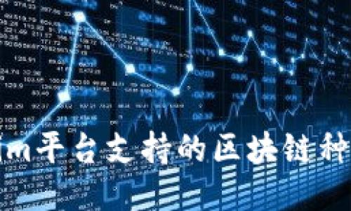Tokenim平台支持的区块链种类介绍