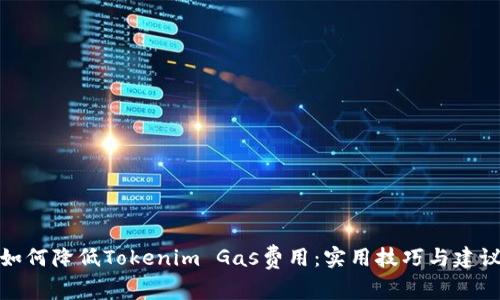 如何降低Tokenim Gas费用:实用技巧与建议