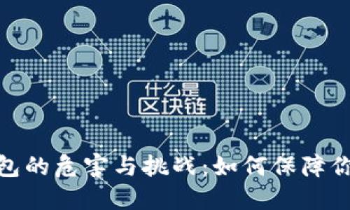 数字钱包的危害与挑战:如何保障你的安全