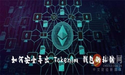 如何安全导出 Tokenim 钱包的私钥