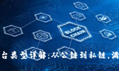 : 区块链平台类型详解：从公链到私链，满足各类需求