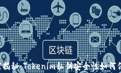 
专家揭秘：Tokenim私钥安全性如何保障？