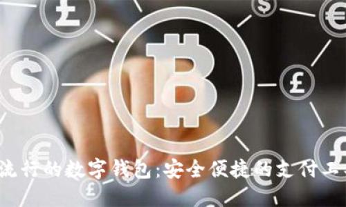 2023年最流行的数字钱包：安全便捷的支付工具选择指南