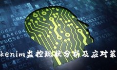 Tokenim监控现状分析及应对