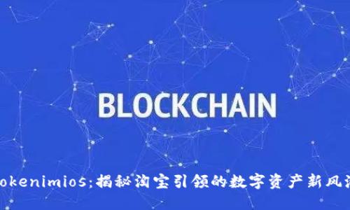 Tokenimios:揭秘淘宝引领的数字资产新风潮