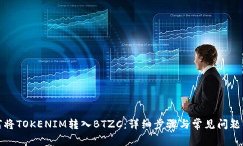 如何将TOKENIM转入BTZC:详细步骤与常见问题解答