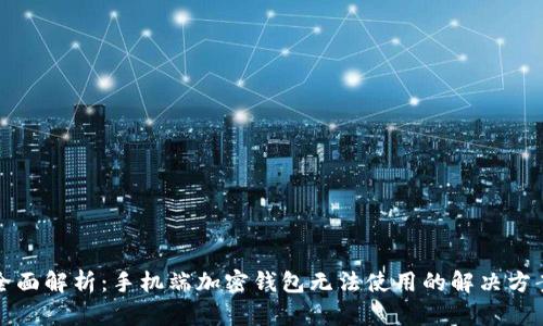 全面解析:手机端加密钱包无法使用的解决方案