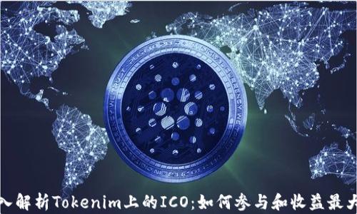 
深入解析Tokenim上的ICO：如何参与和收益最大化