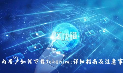 国内用户如何下载Tokenim：详细指南及注意事项
