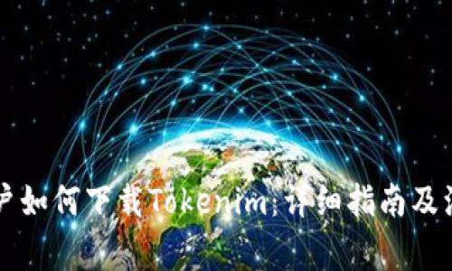 国内用户如何下载Tokenim：详细指南及注意事项