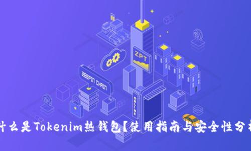 什么是Tokenim热钱包？使用指南与安全性分析