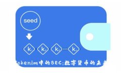 了解Tokenim中的BEC：数字货