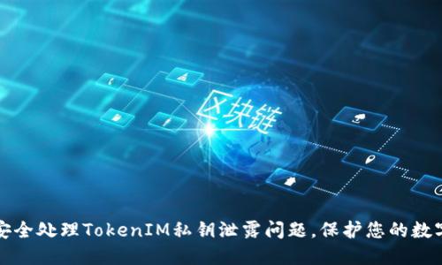 如何安全处理TokenIM私钥泄露问题，保护您的数字资产